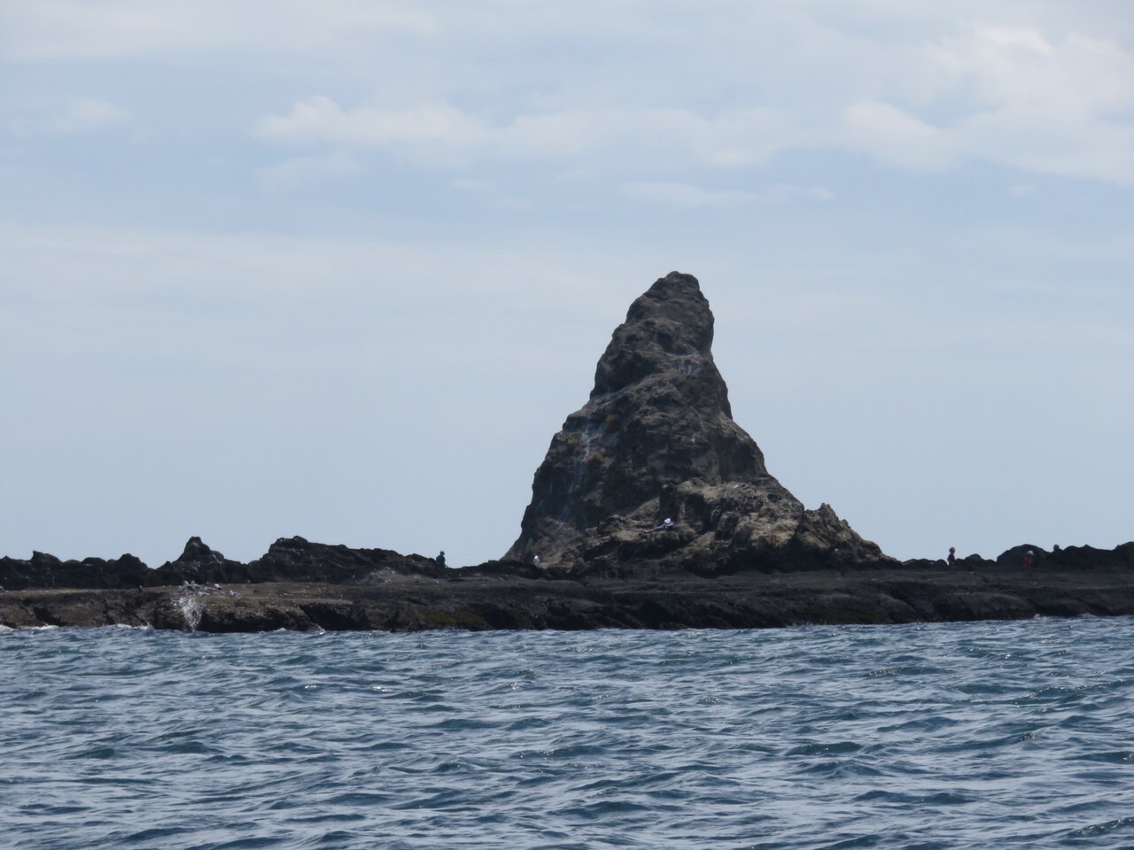 🏖️ 서던 비치 치가사키 (Southern Beach Chigasaki) 이미지 7